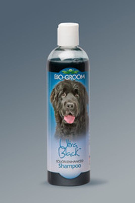 Bio Groom Ultra Black Shampoo