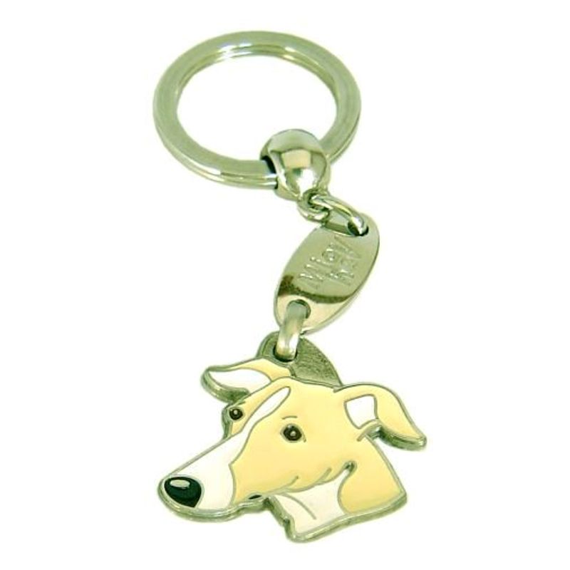 Whippet