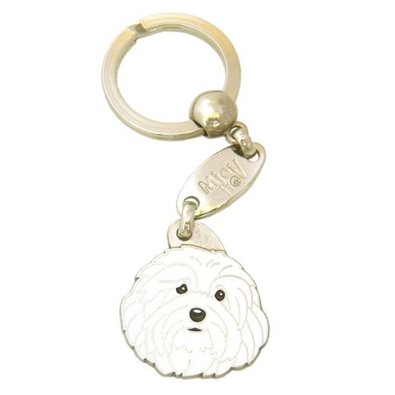 Bichon havanais