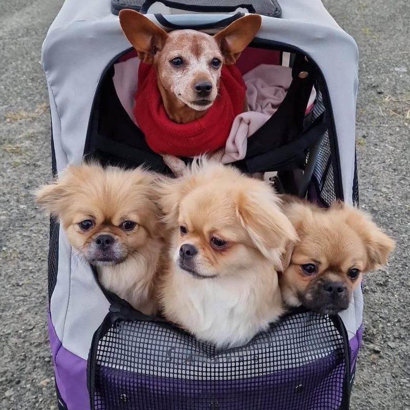 Hammock til stroller 