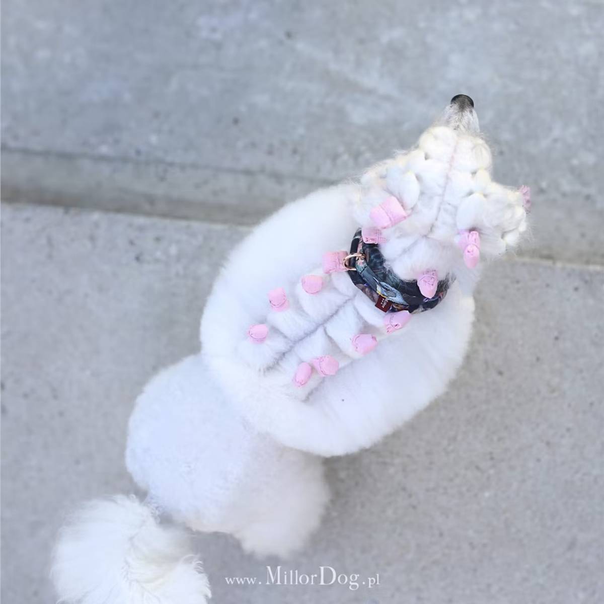 MILLOR DOG - WRAPS TP FOIL PINK - LONG 13 x 35 cm