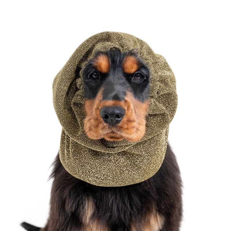 Show Tech Snood Luxe Royal ørebeskyttelse - Gull
