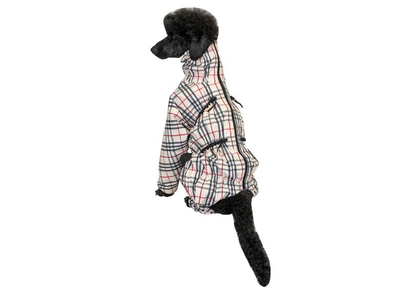 Regndress, Arabella